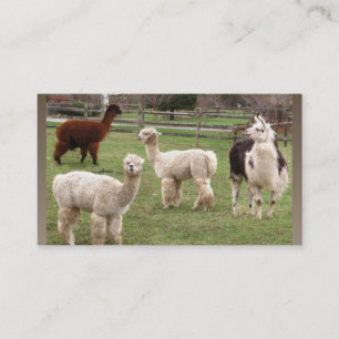 Alpaca Melange ~ biz card