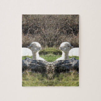 Alpaca mirror jigsaw puzzle