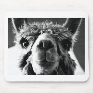 Alpaca Mouse Mat