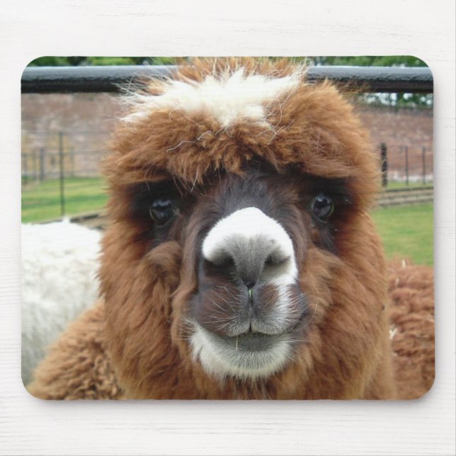 Alpaca Mouse Mat (Front)