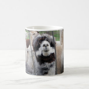 Alpaca Mug :)