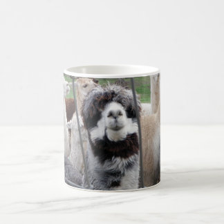 Alpaca Mug :)