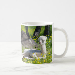 Alpaca Mugs