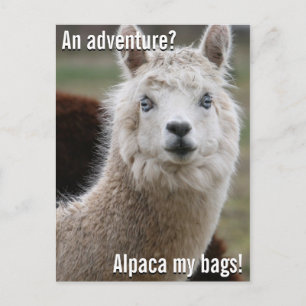 Alpaca My Bags for Adventure Postcard