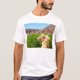 Alpaca Near Salta, Argentina T-Shirt