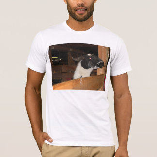 Alpaca not a LLama T-Shirt