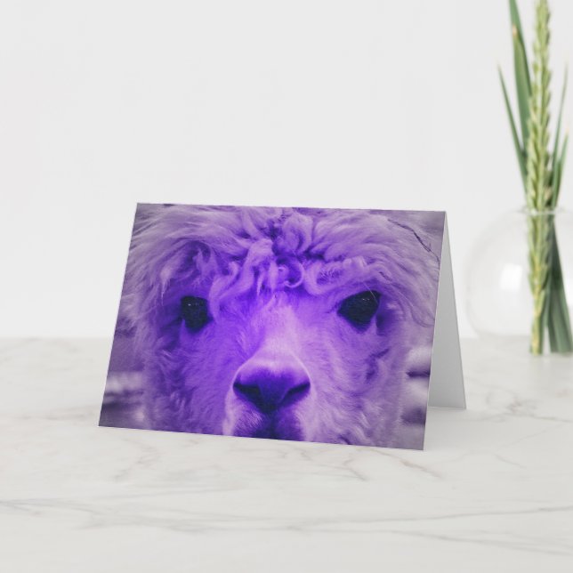 Alpaca of another colour card (Front)