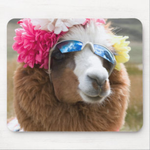 Alpaca, Pachacoto, Cordillera Blanca, Ancash Mouse Mat