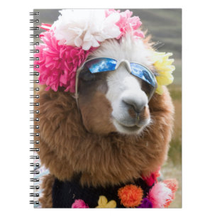 Alpaca, Pachacoto, Cordillera Blanca, Ancash Notebook