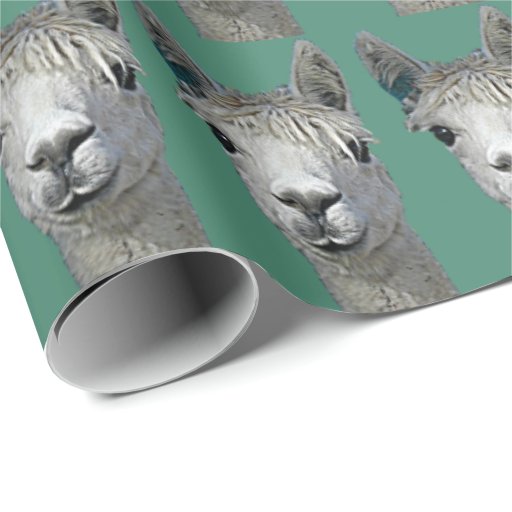 Image of Alpaca Paper
