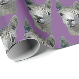 Alpaca Paper on Mauve