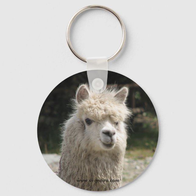 Alpaca, Parque Llaviucu, Ecuador Key Ring (Front)
