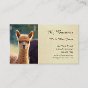 Alpaca Pet Care Business Cards Double-Sided