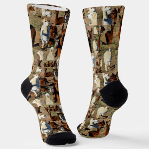 Alpaca Photo Collage, Crew Socks