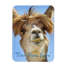 Alpaca  Photo Magnet "Put own name"