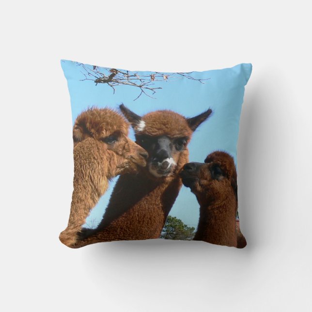 Alpaca Pillow (Front)