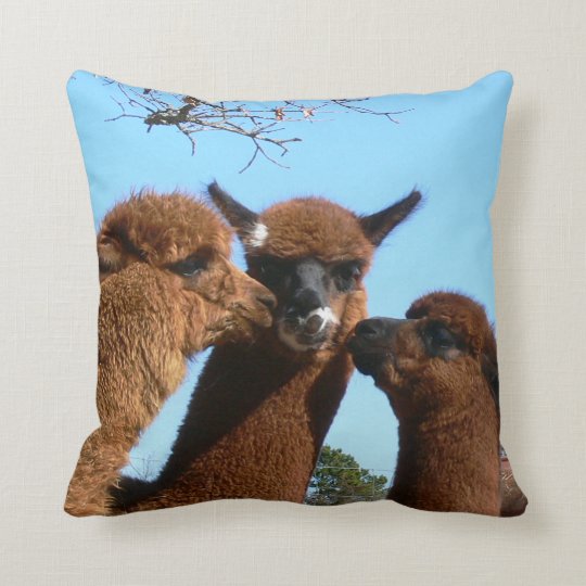 Alpaca Pillow | Zazzle.co.uk