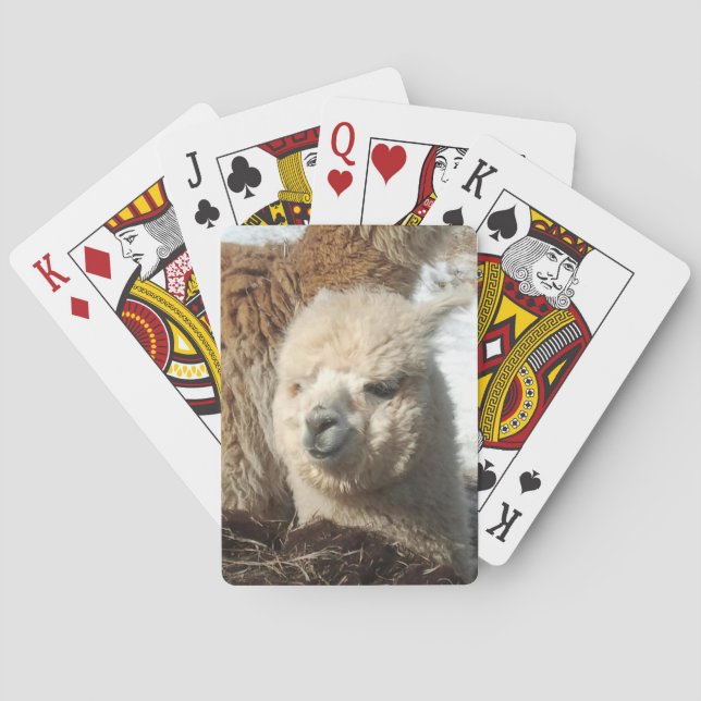 Alpaca Playing Cards (Back)