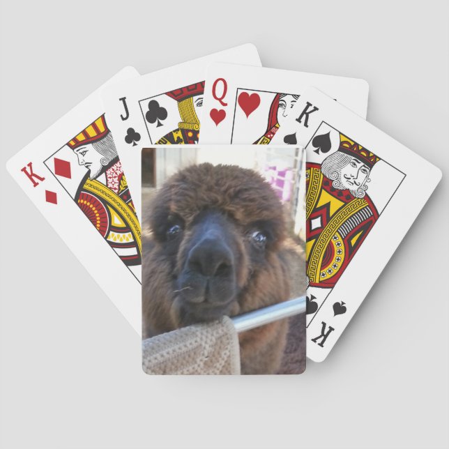 Alpaca Playing Cards (Back)