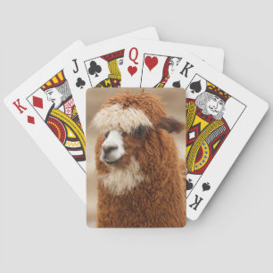 Alpaca playing cards