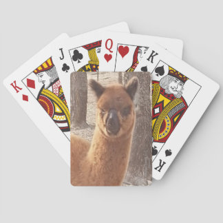 Alpaca Playing Cards