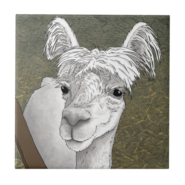 Alpaca Portrait 2 Tile (Front)