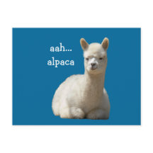 Alpaca Postcards