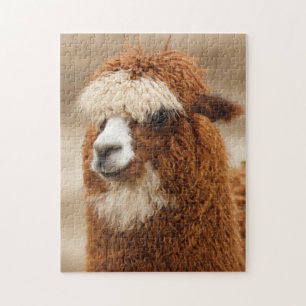 Alpaca puzzle