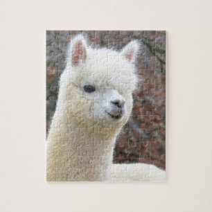Alpaca Puzzle Analise