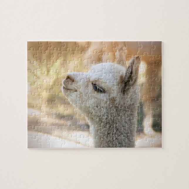 Alpaca Puzzle Celeste (Horizontal)