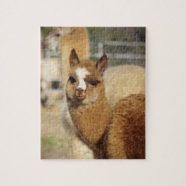 Alpaca Puzzle Juju (Vertical)