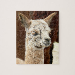 Alpaca Puzzle Rosa