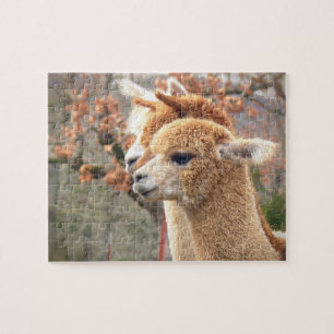 Alpaca Puzzle Sarah