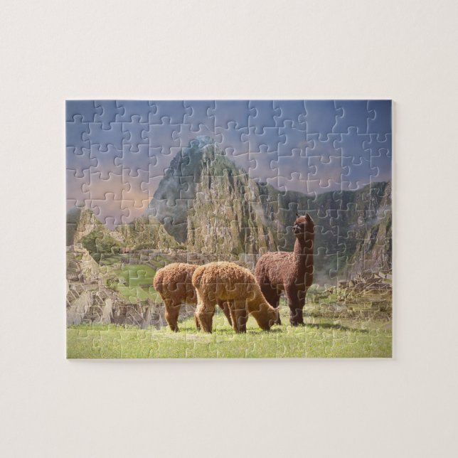 Alpaca Puzzles (Horizontal)