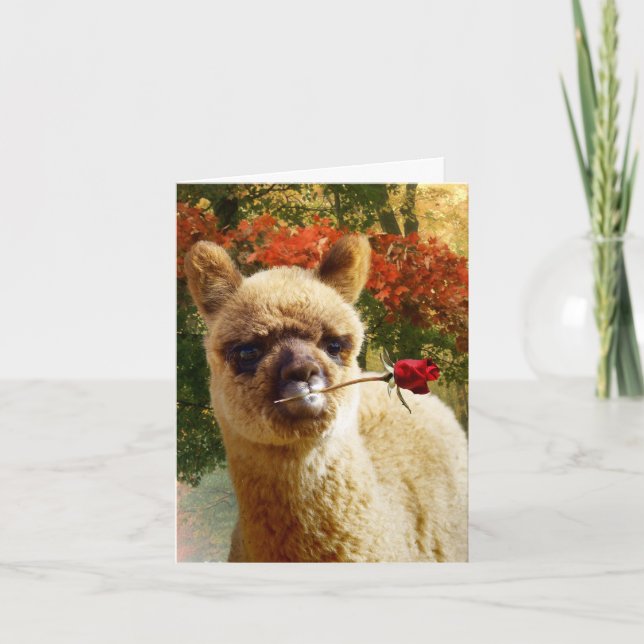 Alpaca Rose Note Cards (Front)