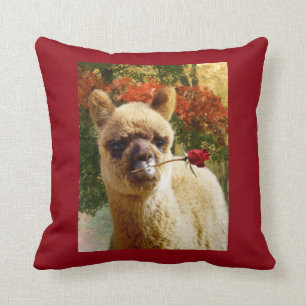 Alpaca Rose Pillow