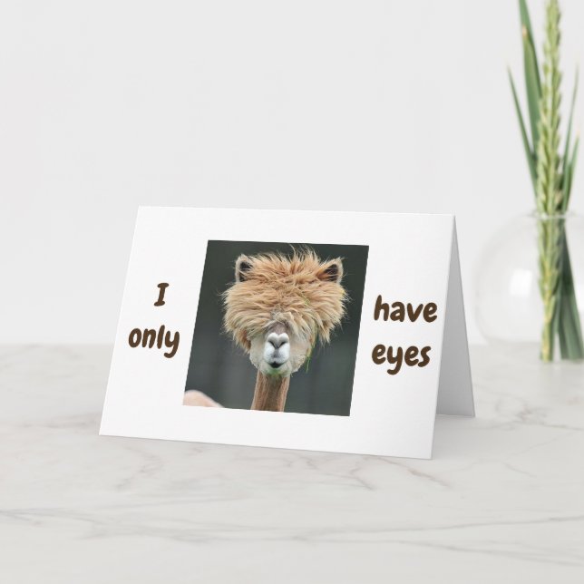 ALPACA SAYS *I ONLY HAVE EYES FOR YOU* LOVE CARD (Front)