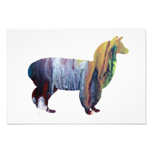 Alpaca silhouette photo print