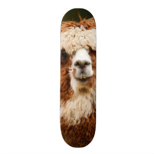 Alpaca Skateboard