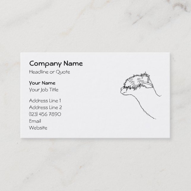 Alpaca Sketch. Business Card (Front)