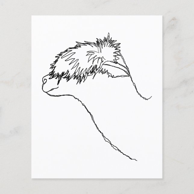 Alpaca Sketch. Flyer (Front)