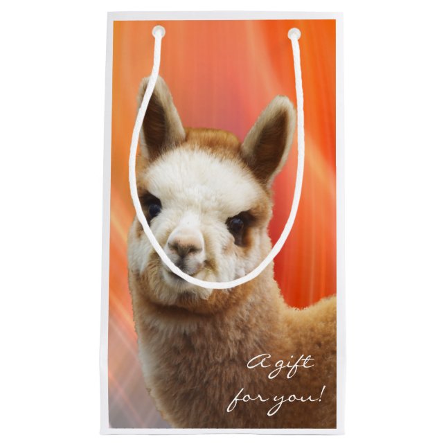 Alpaca Small Gift Bag (Front)