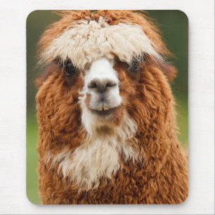 Alpaca Smiles Mouse Mat