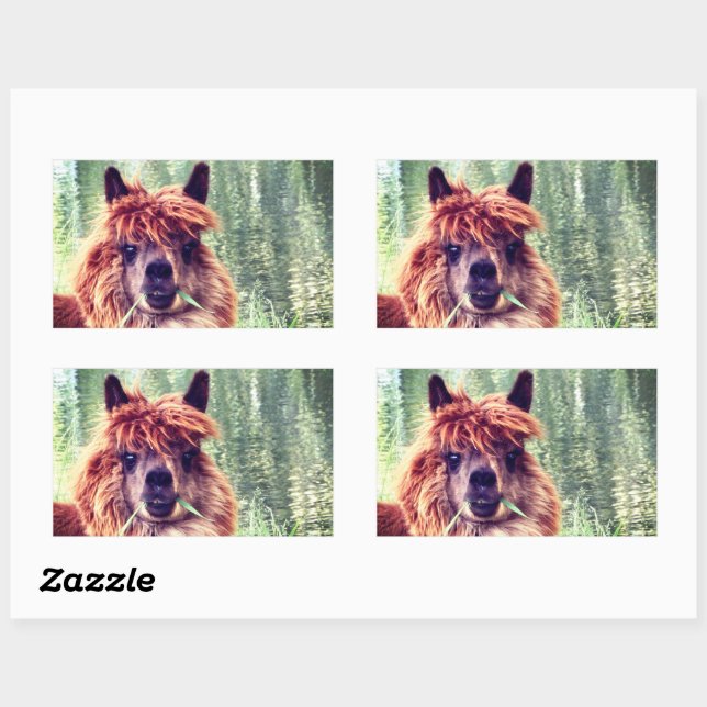 Alpaca Stickers (Sheet)