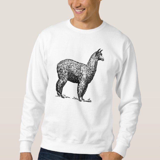 Alpaca Sweatshirt (Front)
