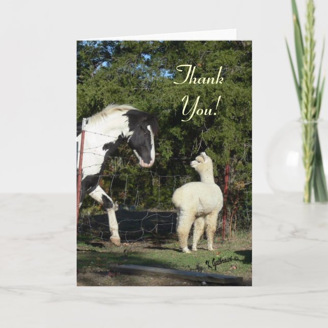 Alpaca Thank You Card (Front)