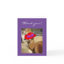 Alpaca Thank You Cards