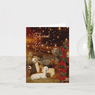 Alpaca Thank You Christmas Note Cards