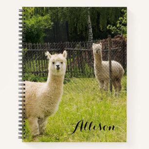 Alpaca Themed Notebook Personalized
