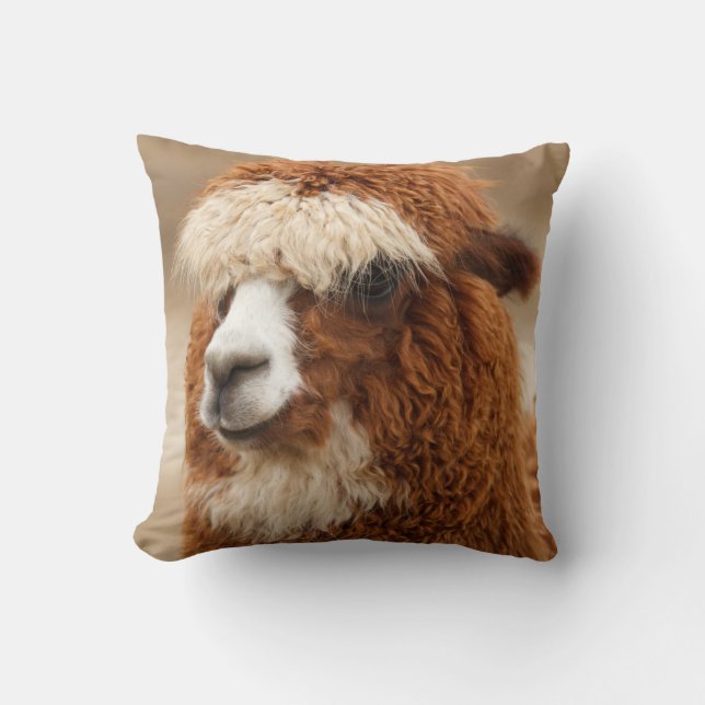 Alpaca throw pillow (Front)